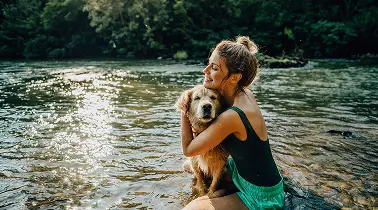 Votre chien aussi mérite des vacances