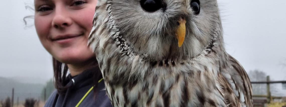 balade_jardin_hiboux_4