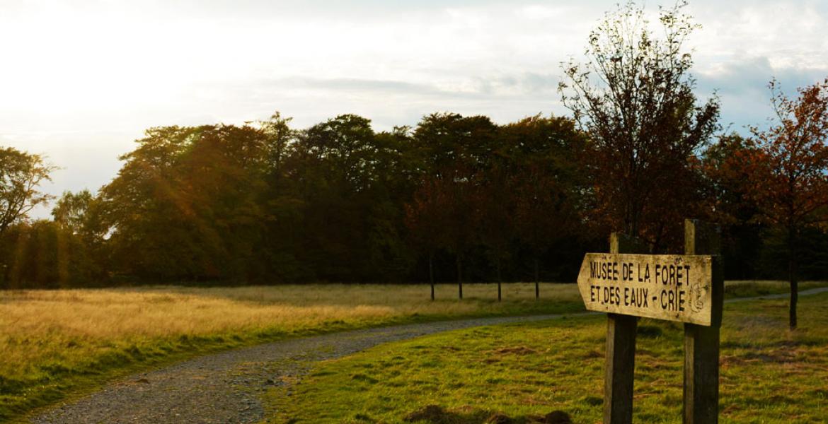 Balades et visites des parents
