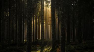 Les beautés de l'ardenne