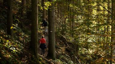 ©MartinDellicour - randonnée bois nisramont