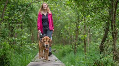 En promenade avec votre chien