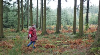 Nous avons testé : une balade à la cueillette des champignons