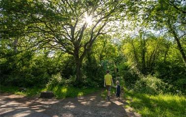                                                             le week-end du 1er mai
                                                    