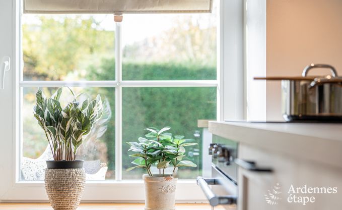 Maison de vacances  Alle-sur-Semois pour 4 personnes en Ardenne