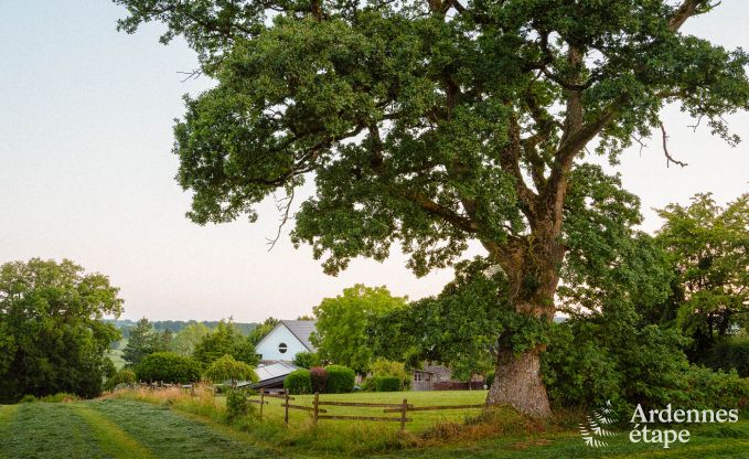 Maison de vacances � Amel pour 30 personnes en Ardenne