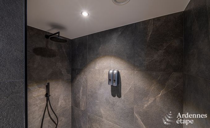 Magnifique maison de vacances avec jacuzzi extrieur et sauna  Amel, Hautes Fagnes