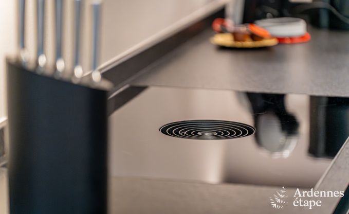 Magnifique maison de vacances avec jacuzzi extrieur et sauna  Amel, Hautes Fagnes