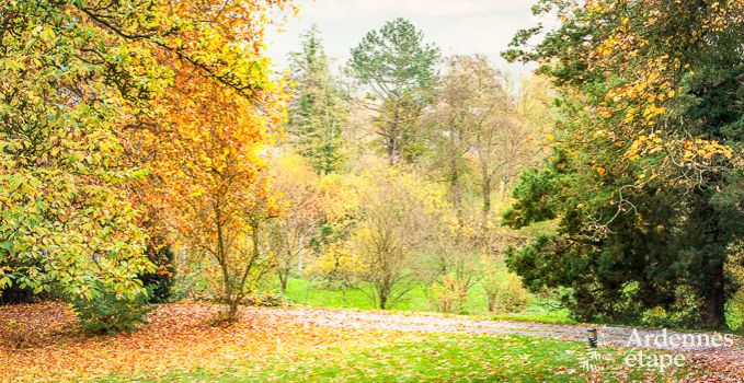 Maison de vacances  Anhe avec label cl verte pour 24/26 personnes