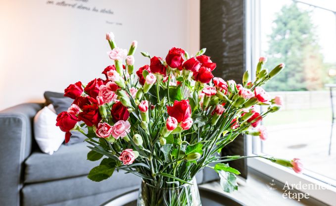 Maison de vacances � Anh�e pour 2/3 personnes en Ardenne