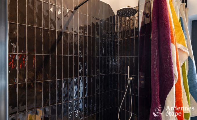 Maison de vacances authentique pour 6 personnes  Anhe avec sauna priv, terrasse couverte et intrieur de luxe