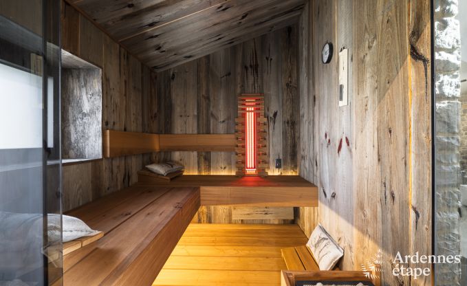 Maison de vacances authentique pour 6 personnes  Anhe avec sauna priv, terrasse couverte et intrieur de luxe
