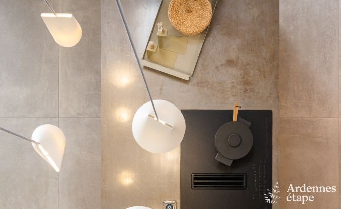 Maison de vacances authentique pour 6 personnes  Anhe avec sauna priv, terrasse couverte et intrieur de luxe