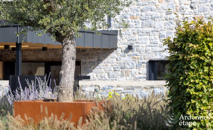 Maison de vacances authentique pour 6 personnes  Anhe avec sauna priv, terrasse couverte et intrieur de luxe