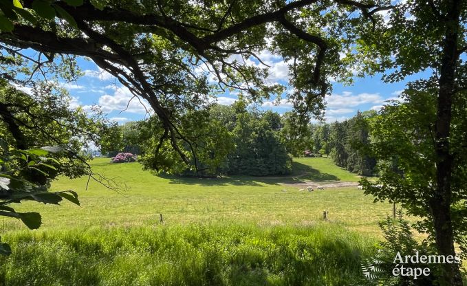 Grande villa  Assesse, 9 personnes avec 5 chambres et votre propre parc