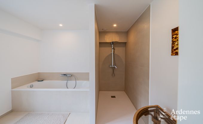 Grande villa  Assesse, 9 personnes avec 5 chambres et votre propre parc