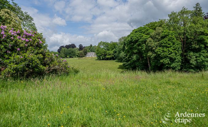 Grande villa  Assesse, 9 personnes avec 5 chambres et votre propre parc