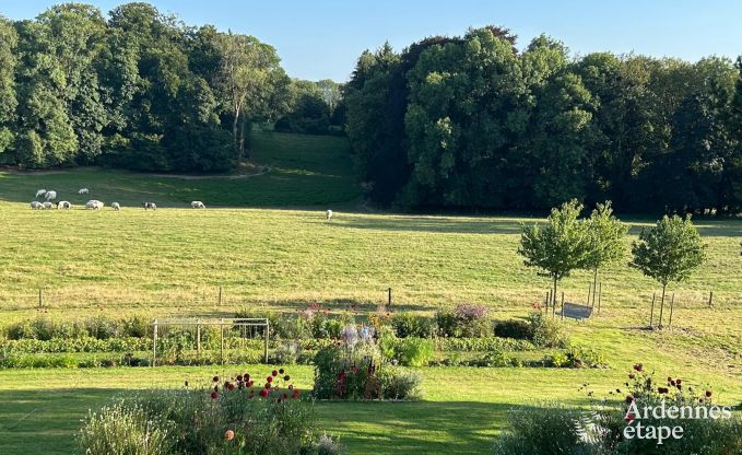Grande villa  Assesse, 9 personnes avec 5 chambres et votre propre parc
