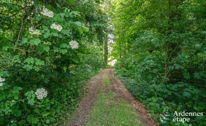 Grande villa  Assesse, 9 personnes avec 5 chambres et votre propre parc