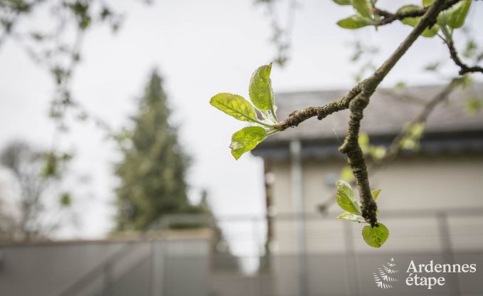 Maison de vacances � Attert pour 4 personnes en Ardenne