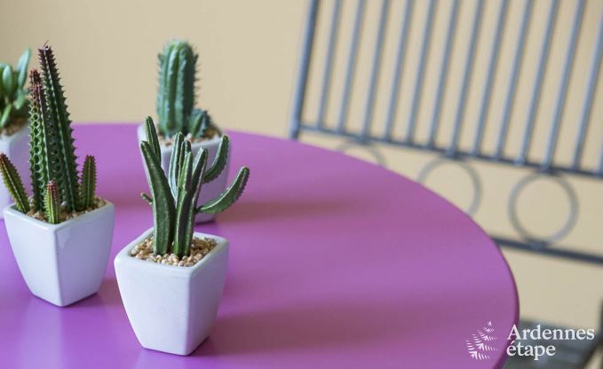 Ch�teau � Aubel pour 28 personnes en Ardenne