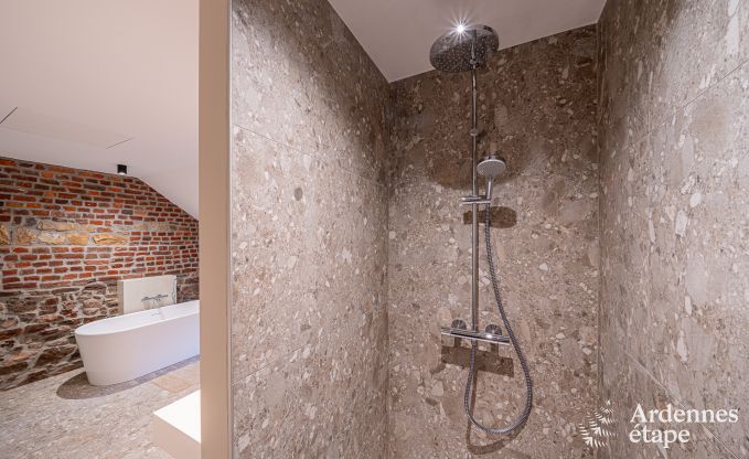 Grande maison de vacances  Aubel au bord de l'eau : idale pour 30 personnes avec piscine, billard et grands espaces