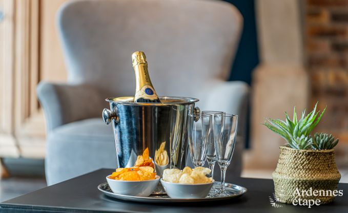Villa de Luxe � Aubel pour 18 personnes en Ardenne