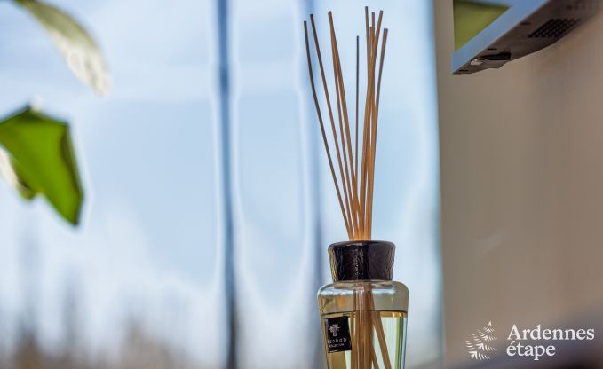 Villa de Luxe  Aubel pour 8 personnes en Ardenne