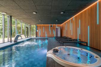Villa de luxe pour 10 à Aubel avec piscine intérieure, jacuzzi, sauna