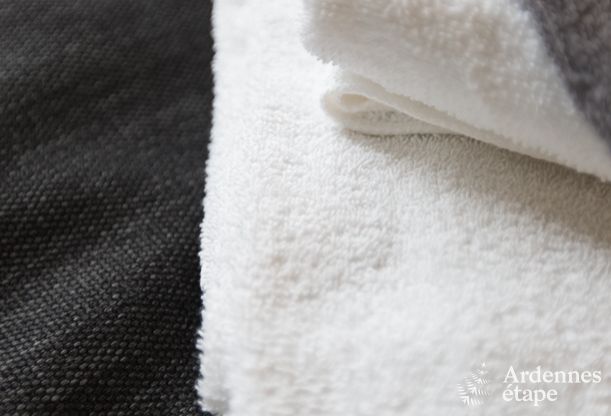 Maison de vacances  Aubel pour 13 personnes en Ardenne