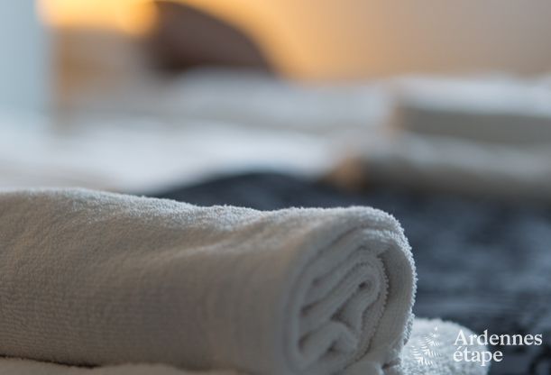 Maison de vacances  Aubel pour 21 personnes en Ardenne