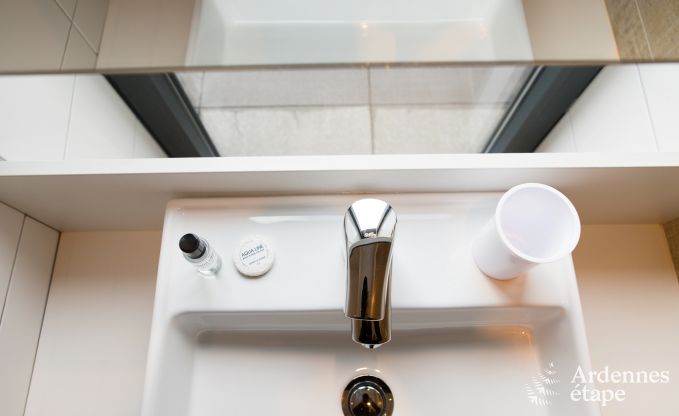 Maison de vacances  Aubel pour 11 personnes en Ardenne