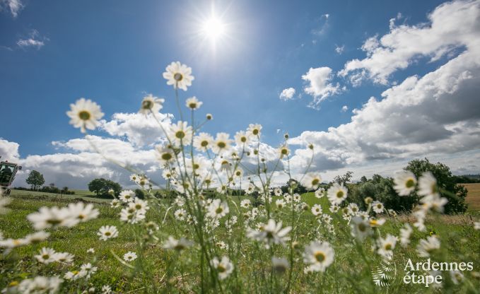 Maison de vacances  Aubel pour 2/4 personnes en Ardenne