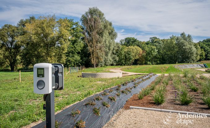 Grande maison de vacances  Aubel au bord de l'eau : idale pour 30 personnes avec piscine, billard et grands espaces