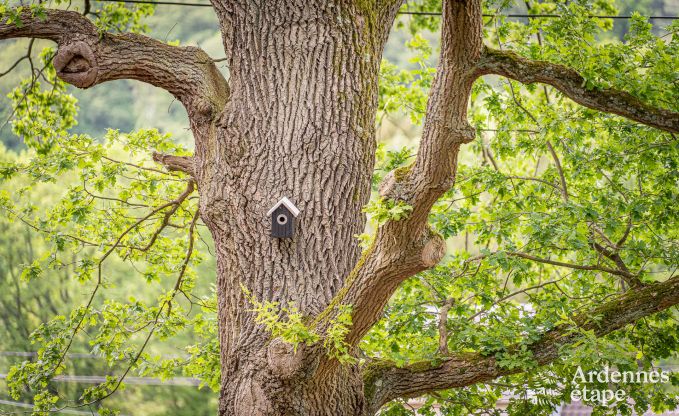 Chalet familial en bois confortable � Aywaille, Ardenne