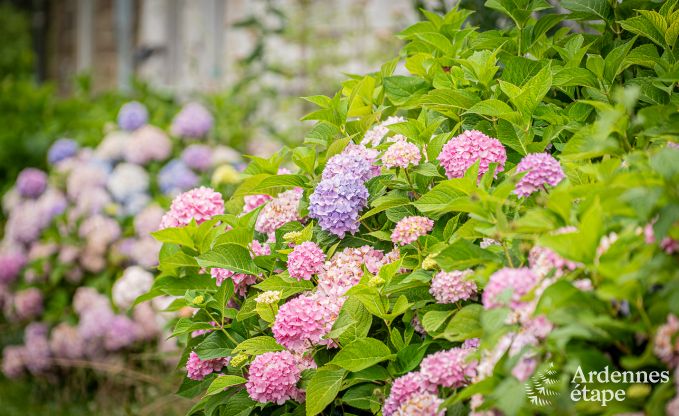 Villa de Luxe � Aywaille pour 15 personnes en Ardenne