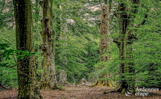 Maison de vacances  Aywaille pour 6 personnes en Ardenne