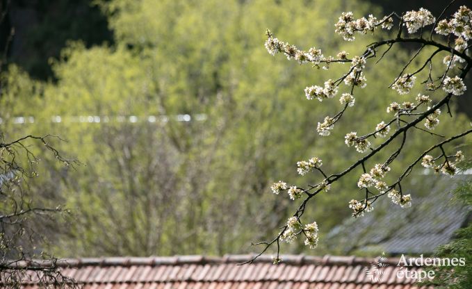Maison de vacances  Aywaille pour 10/14 personnes en Ardenne
