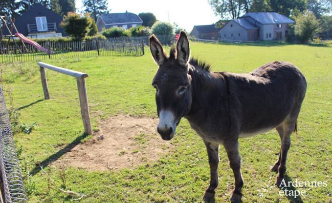 Maison de vacances � Baclain (Gouvy) pour 6/7 personnes en Ardenne