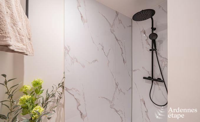 Maison de vacances luxueuse  Baillonville pour 6 personnes avec wellness et piscine chauffe