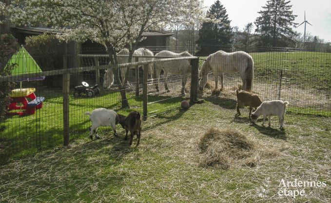Maison de vacances � Bastogne pour 12 personnes en Ardenne