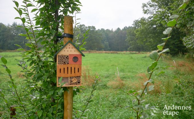 Maison de vacances � Bastogne : maison de vacances authentique pour 16 personnes avec des �quipements modernes en Ardenne