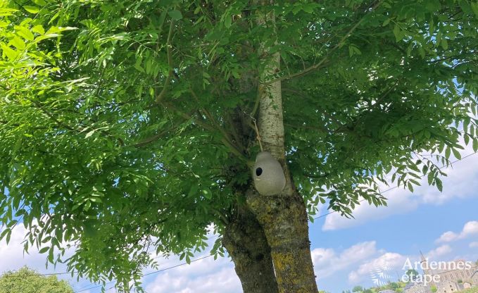 Jolie maison de vacances restaur�e � Bastogne, Ardenne