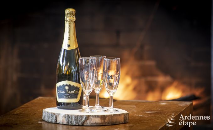 Villa de luxe avec piscine int�rieure � Bastogne pour 24 personnes