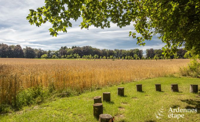 Chteau  Bastogne pour 12/15 personnes en Ardenne