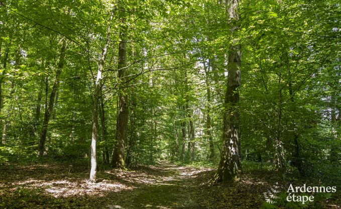 Chteau  Bastogne pour 12/15 personnes en Ardenne