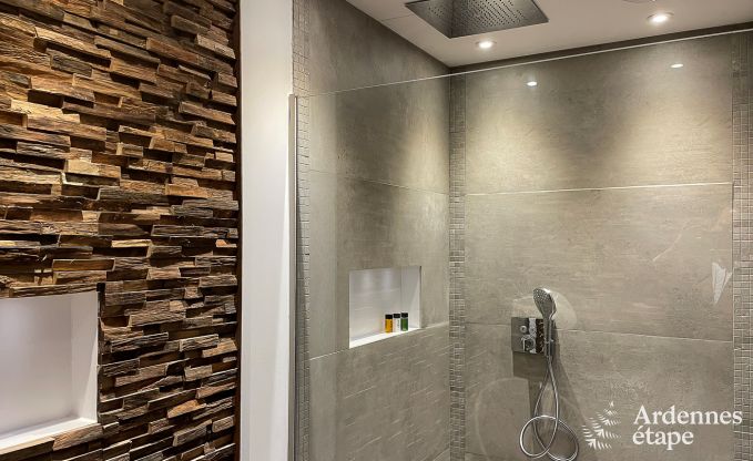 Chteau  Bastogne pour 12/15 personnes en Ardenne