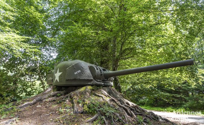 Chteau  Bastogne pour 12/15 personnes en Ardenne