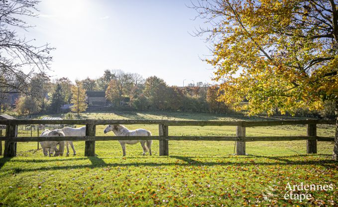 Maison de vacances  Bastogne pour 12 personnes en Ardenne
