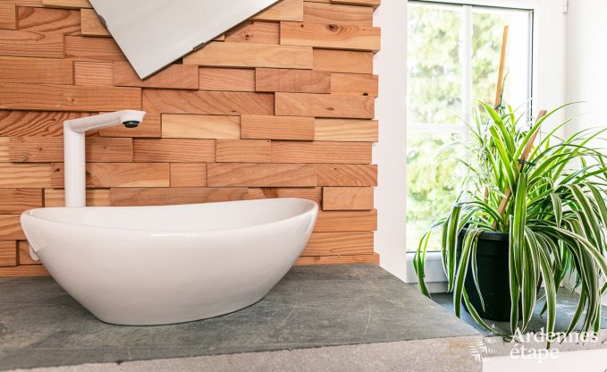 Maison de vacances  Bastogne pour 12 personnes en Ardenne